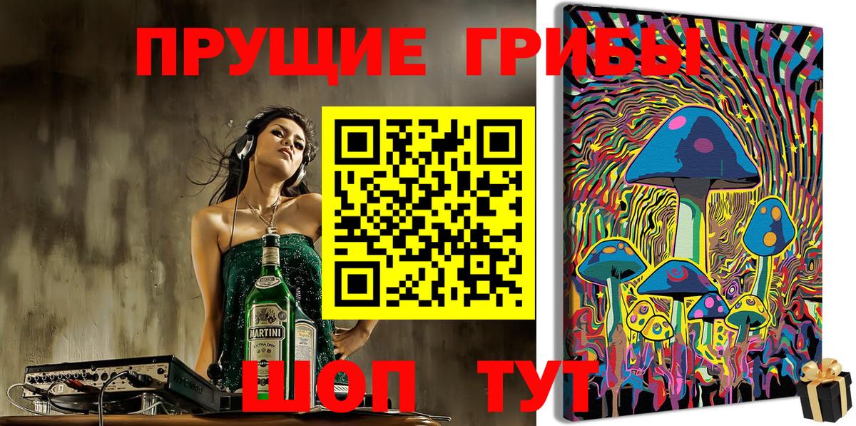 Галлюциногенные грибы Psilocybe  Вход с VPN  Псилоцибиновые грибы прущие грибы  Сокол 